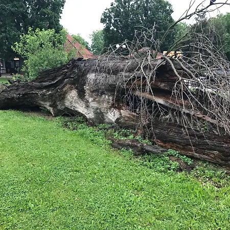 Motel Stari Hrast Markovac