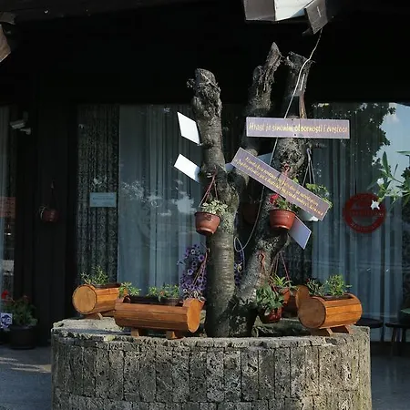 Stari Hrast Markovac