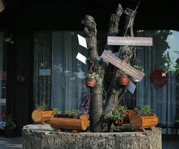 Stari Hrast Markovac